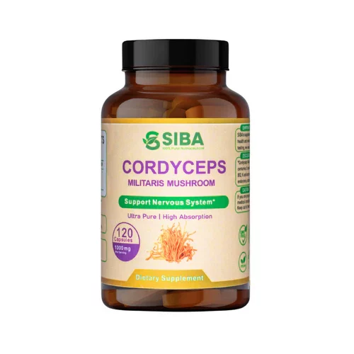 SIBA_Cordyceps_Militaris_Mushroom_120_Capsules_500x